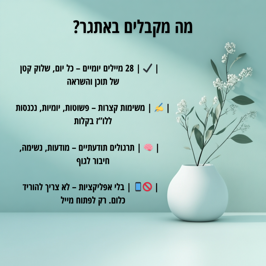 אתגר 28 הימים